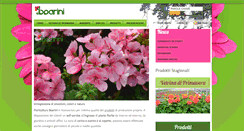 Desktop Screenshot of boarini.net