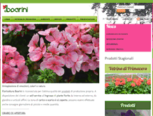 Tablet Screenshot of boarini.net